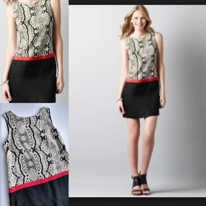 Ann Taylor LOFT animal print color block dress